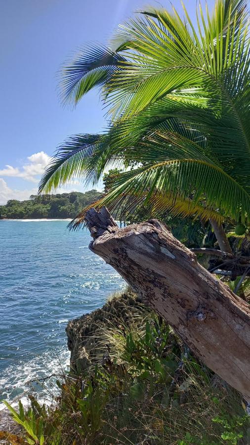 Apartmán Casa Lumiere Bocas del Toro Exteriér fotografie
