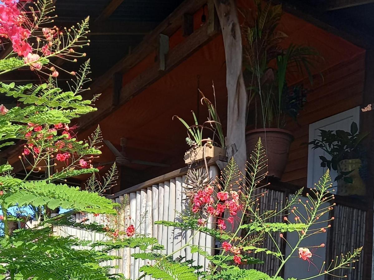 Apartmán Casa Lumiere Bocas del Toro Exteriér fotografie